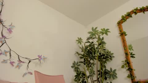   online show from 11/27/25, 11:51