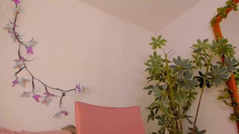   online show from 02/26/26, 11:37