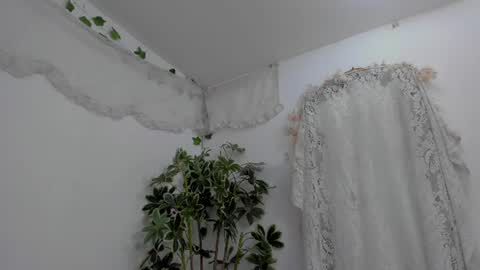   online show from 07/10/26, 12:37