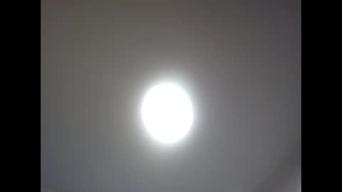 bonop1 online show from 04/02/26, 04:37