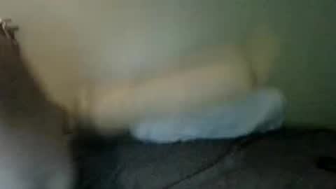 booboobumbum1 online show from 06/09/26, 07:14