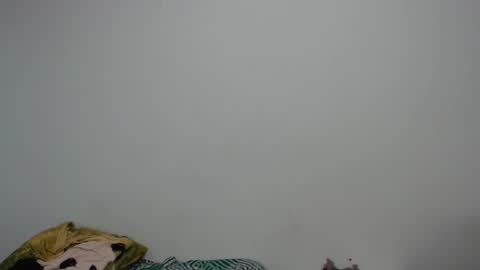 Luciana independent model online show from 12/26/24, 08:00