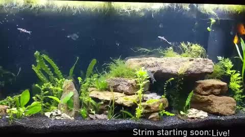 Snapshot of booker_baxton chatting on 09/19/25, 03:08 Booker Baxton online show from 09/19/25, 03:08