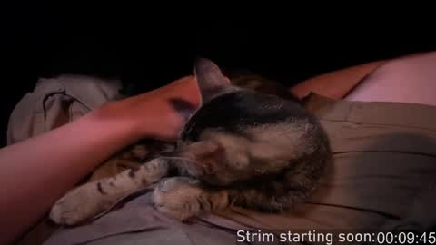 Snapshot of booker_baxton chatting on 09/28/25, 03:01 Booker Baxton online show from 09/28/25, 03:01