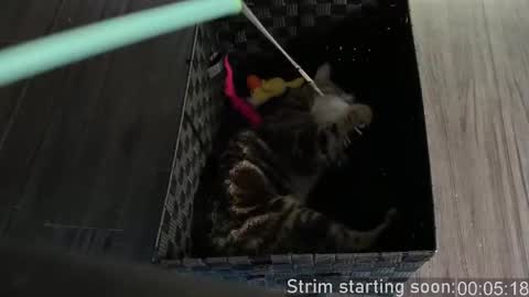 Snapshot of booker_baxton chatting on 10/04/25, 03:04 Booker Baxton online show from 10/04/25, 03:04