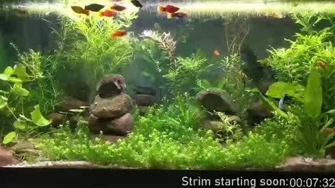 Snapshot of booker_baxton chatting on 10/07/25, 03:04 Booker Baxton online show from 10/07/25, 03:04