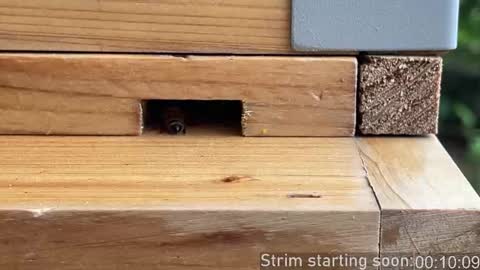 Snapshot of booker_baxton chatting on 10/22/25, 02:56 Booker Baxton online show from 10/22/25, 02:56