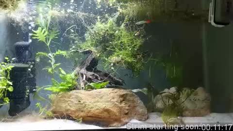 Snapshot of booker_baxton chatting on 11/01/25, 02:57 Booker Baxton online show from 11/01/25, 02:57