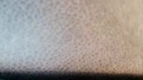 Snapshot of boolika chatting on 03/11/25, 10:53 Boolika online show from 03/11/25, 10:53