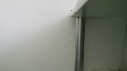 boopye online show from 06/07/26, 10:30