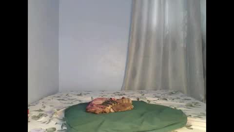 sandrah online show from 09/26/25, 06:50