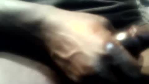 Snapshot of botofogo chatting on 12/01/25, 05:12 botofogo online show from 12/01/25, 05:12