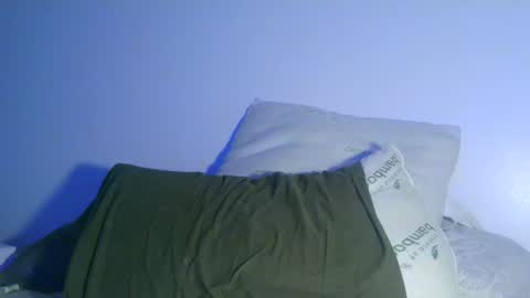 Snapshot of bowser2334 chatting on 12/30/24, 04:20 Jason Jax online show from 12/30/24, 04:20