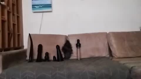 Snapshot of boy7oyy chatting on 01/31/25, 07:29 Bes7assquirt online show from 01/31/25, 07:29