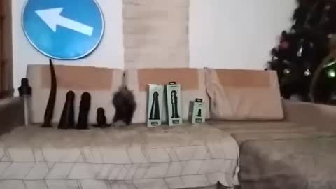 Snapshot of boy7oyy chatting on 02/22/25, 07:14 Bes7assquirt online show from 02/22/25, 07:14