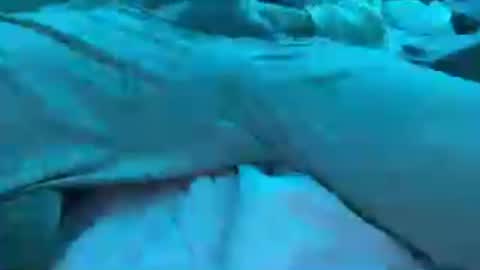 BoyToyBenny online show from 06/25/26, 07:24