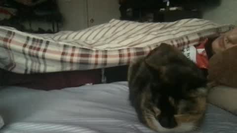 boywithbug online show from 02/13/25, 10:54