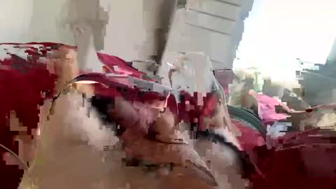 brad2518181 online show from 02/21/25, 06:26