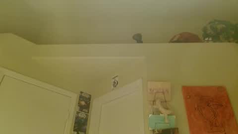 Snapshot of braindeadbetty chatting on 04/17/26, 12:19 i am a naughty jedi knight online show from 04/17/26, 12:19