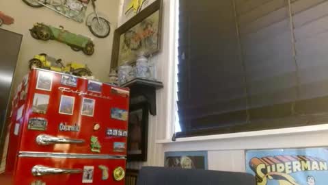 Snapshot of braindeadbetty chatting on 04/18/26, 12:36 i am a naughty jedi knight online show from 04/18/26, 12:36