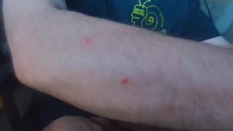 brainrrawtt online show from 03/11/25, 08:52