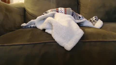 brandondot online show from 12/31/24, 08:04