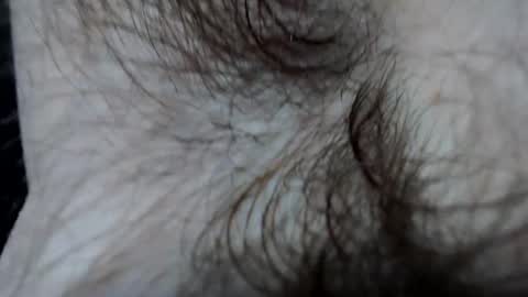 branflakes_ online show from 02/21/25, 11:10