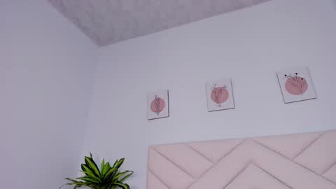  online show from 12/23/24, 02:07