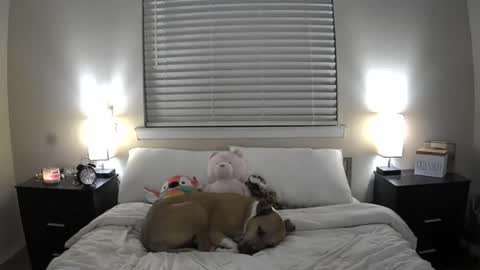 Bridget Black online show from 06/20/26, 01:41