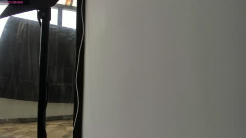    online show from 12/31/24, 01:52