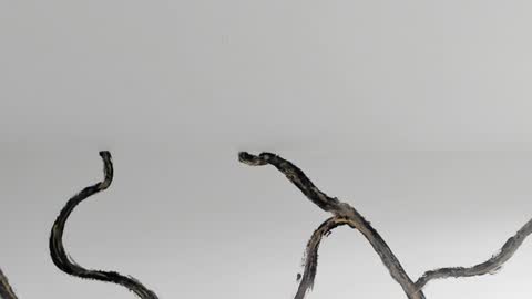    online show from 01/04/25, 02:46