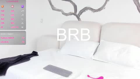 Snapshot of bridgetrodriguez chatting on 03/04/25, 06:29 online show from 03/04/25, 06:29