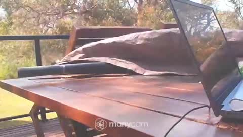 Snapshot of bridie3079 chatting on 10/10/25, 01:15 Fun Monster online show from 10/10/25, 01:15