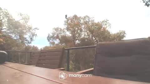 Snapshot of bridie3079 chatting on 10/16/25, 02:01 Fun Monster online show from 10/16/25, 02:01