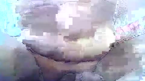 Snapshot of brilliant7 chatting on 11/02/25, 04:59 Josh online show from 11/02/25, 04:59