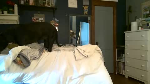 brunettebaby040 online show from 09/13/25, 05:13