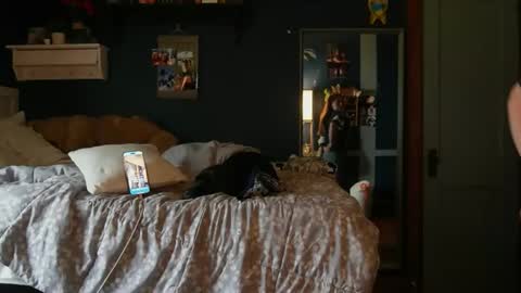 brunettebaby040 online show from 10/24/25, 04:47