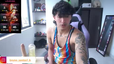 Snapshot of bruno_santos1 chatting on 05/11/26, 02:45 Bruno online show from 05/11/26, 02:45