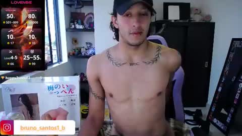Snapshot of bruno_santos1 chatting on 06/12/26, 10:41 Bruno online show from 06/12/26, 10:41