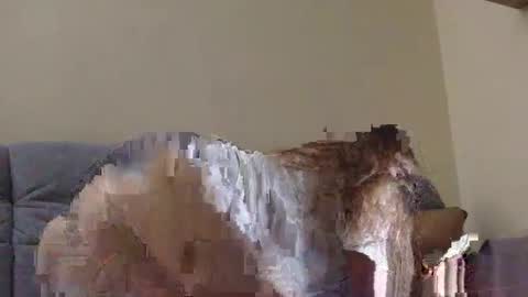 brutecia online show from 09/16/25, 06:42