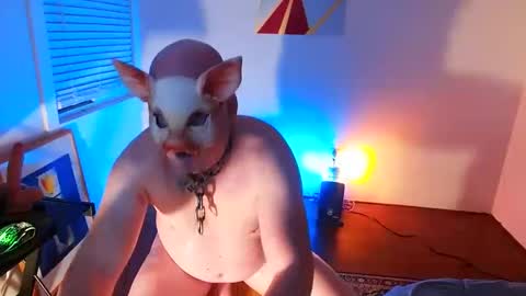 Snapshot of btmcub_sandiego chatting on 02/08/25, 10:29 bottom freak online show from 02/08/25, 10:29