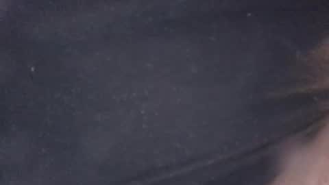 buddyluvzumore online show from 10/19/25, 04:35