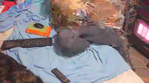 bufu21 online show from 02/02/25, 09:56