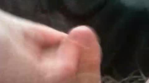 bullemoe online show from 10/02/25, 07:04