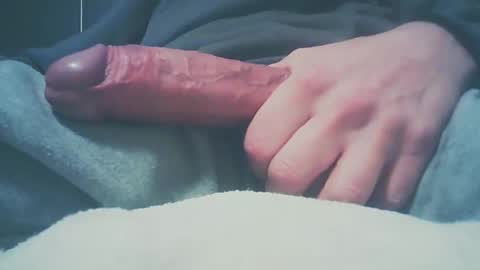 Dutch cock online show from 12/27/24, 08:24