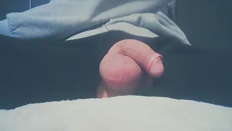 Dutch cock online show from 02/16/25, 06:32