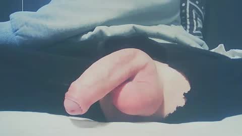 Dutch cock online show from 02/23/25, 03:40