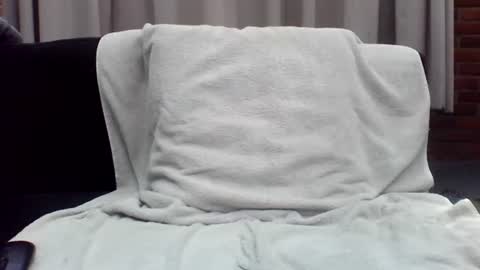 Dutch cock online show from 07/19/26, 11:58