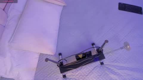 bunny_blush1 online show from 03/30/26, 07:04