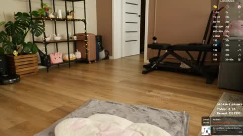 Maddie    Next stream  online show from 06/07/26, 03:49
